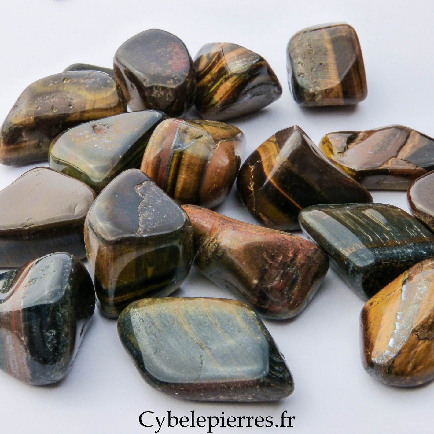 Œil de Tigre Roulée – Afrique du Sud | Protection et Confiance