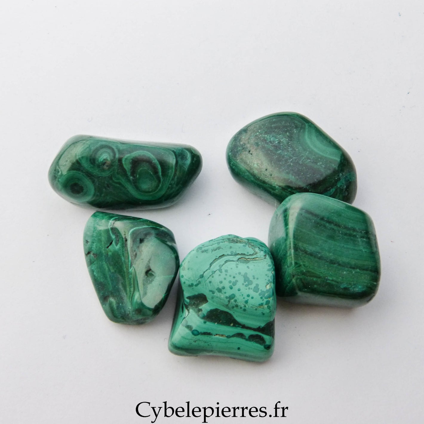 Pierre roulée Malachite – République du Congo | Équilibre et Endurance