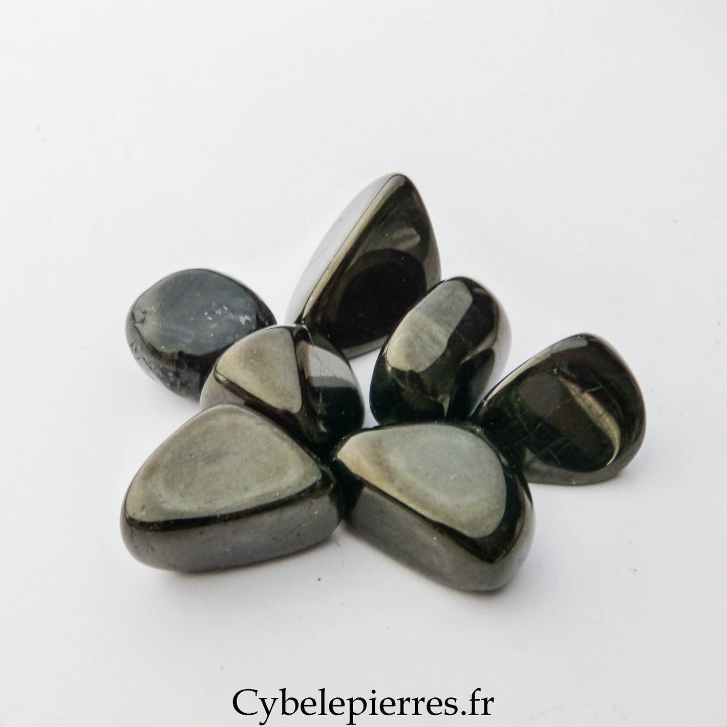 Jais (Charbon de bois fossile) roulée – Protection & Apaisement