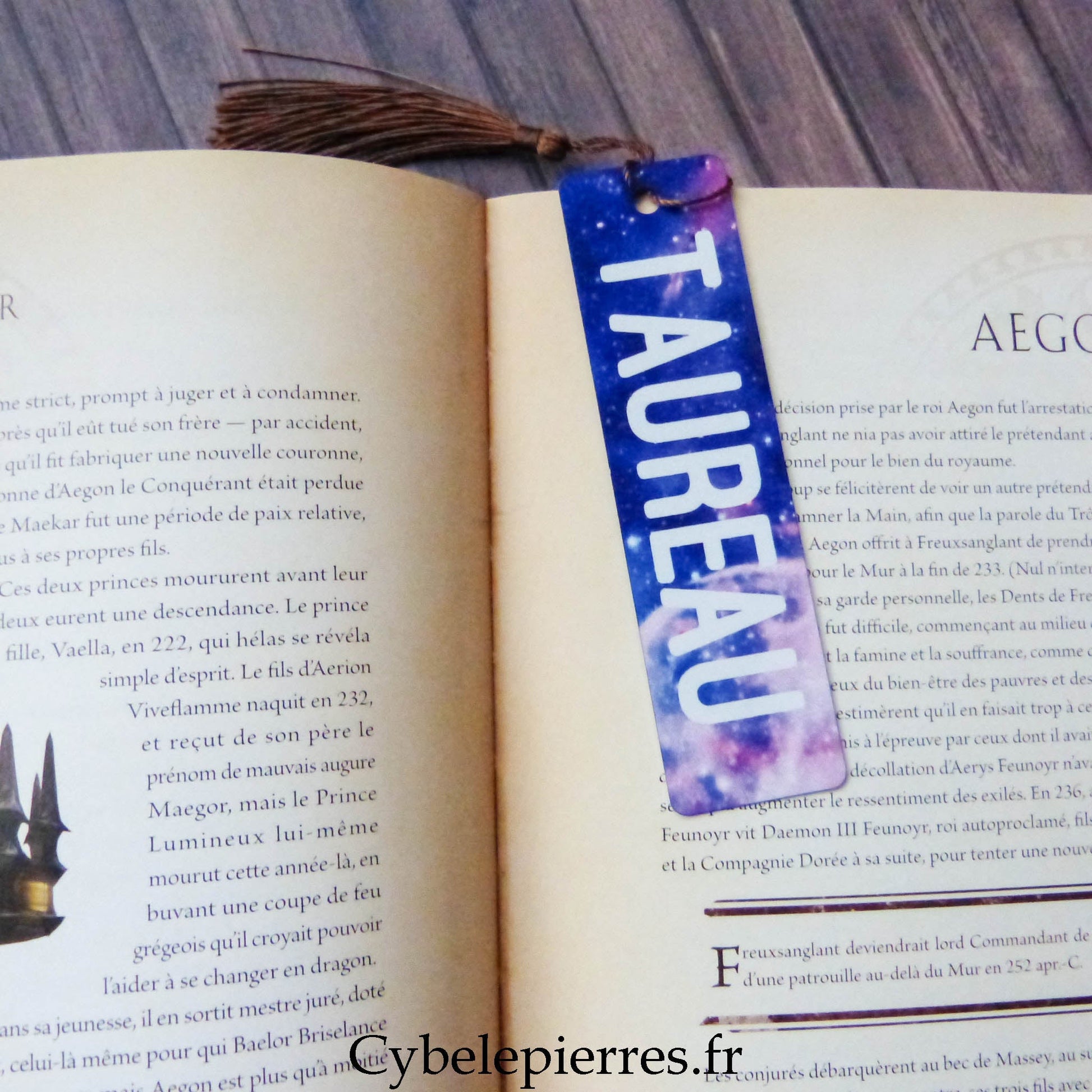 Marque - Pages Astro en Aluminium – 12 Signes du Zodiaque | Fond Galaxie - Cybele Pierres