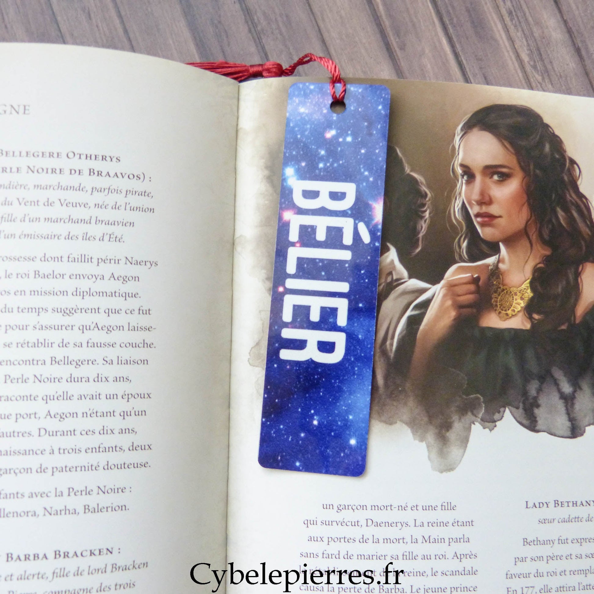 Marque - Pages Astro en Aluminium – 12 Signes du Zodiaque | Fond Galaxie - Cybele Pierres