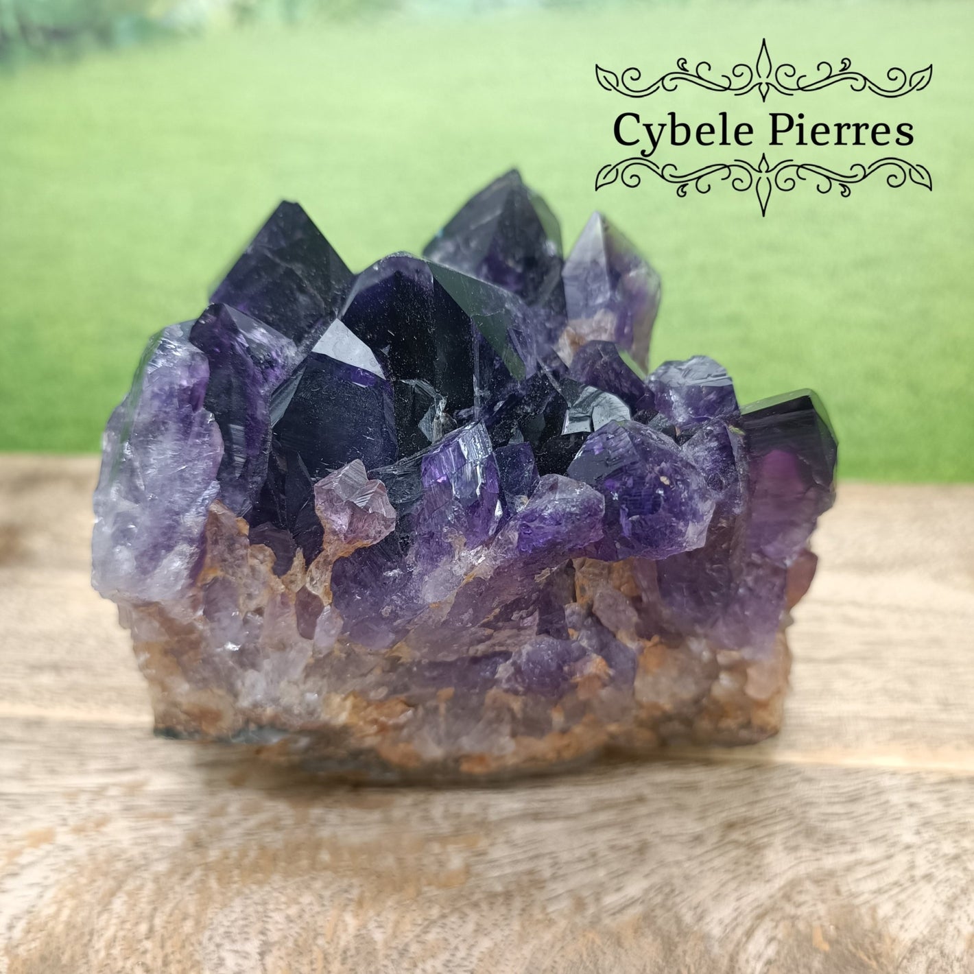 Collection - Druse Améthyste Extra - Uruguay (524g) | Harmonie et Protection - Cybele Pierres