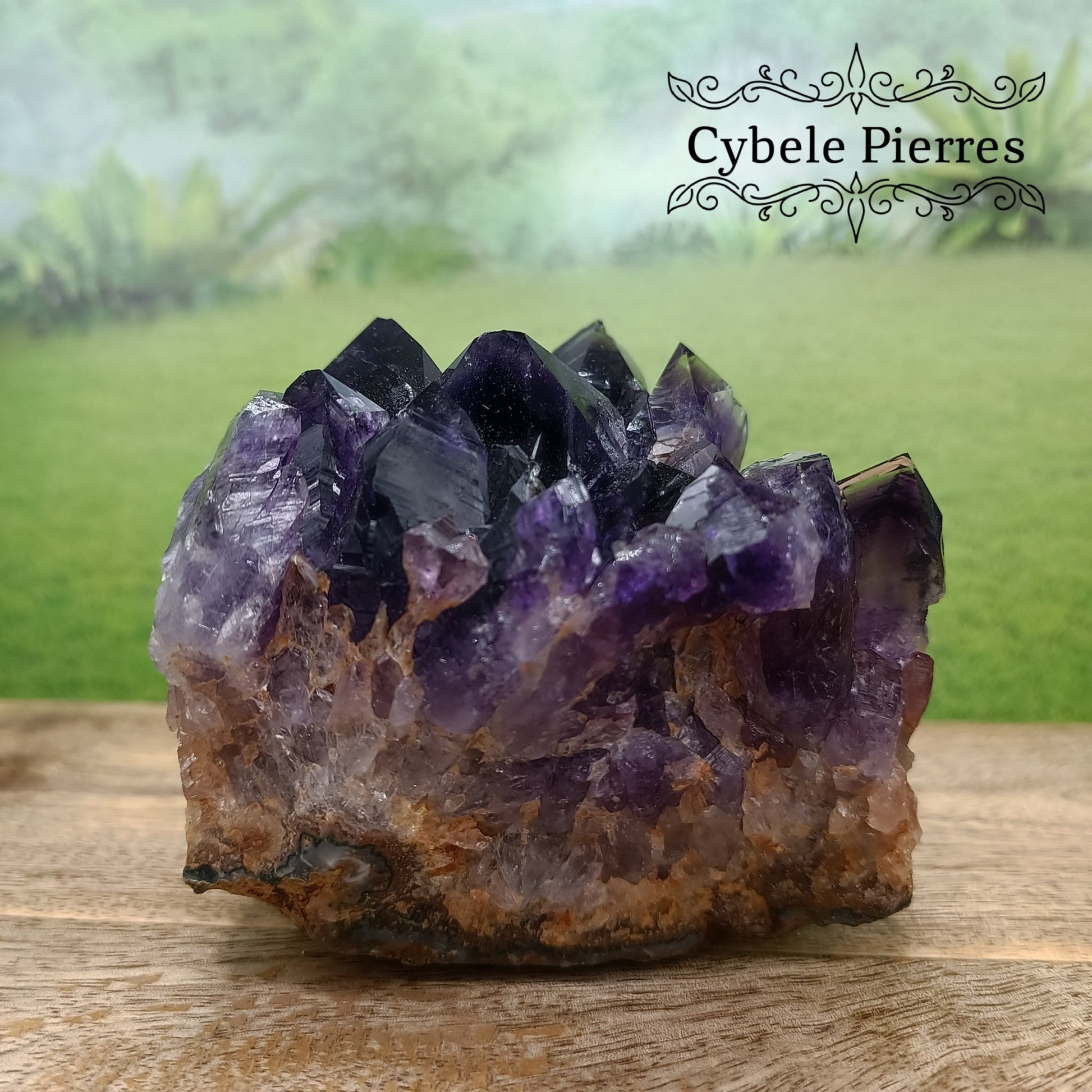 Collection - Druse Améthyste Extra - Uruguay (524g) | Harmonie et Protection - Cybele Pierres