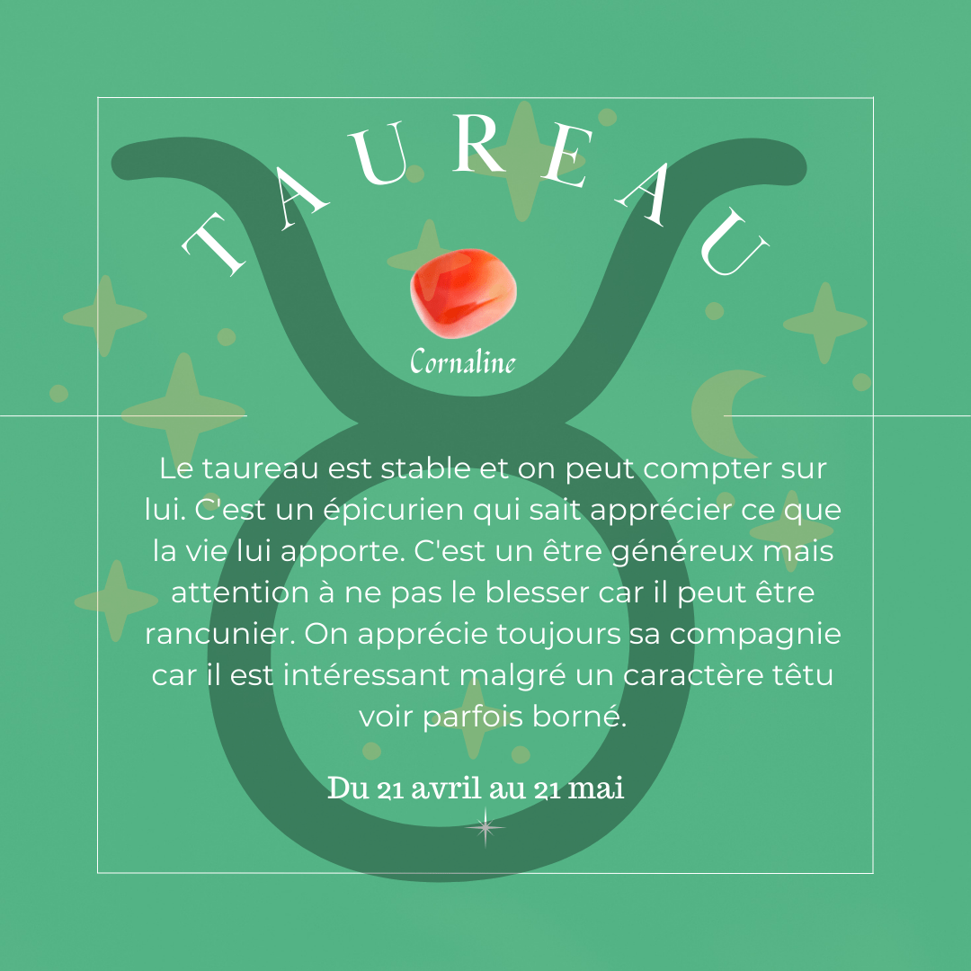 D - Bracelet Astrologie - 2 - Taureau - 18cm - Cybele Pierres