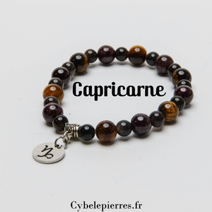2. Bracelet Capricorne - Grenat, Obsidienne argentée et Œil de Tigre (6mm et 8mm) | Détermination et Protection