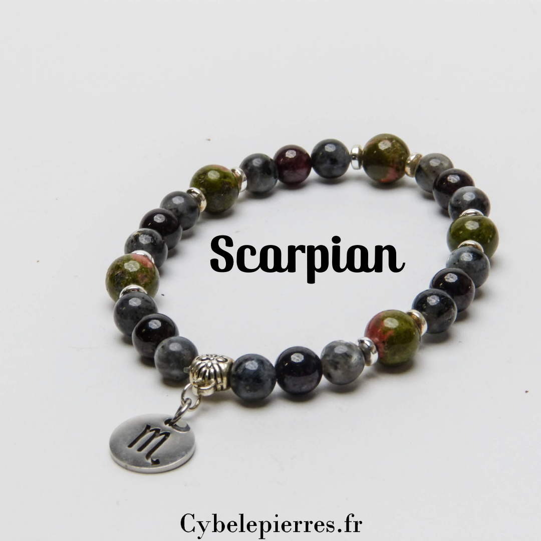2- Bracelet Scorpion - Unakite, Grenat et Larvikite (6 et 8mm) | Force et Transformation