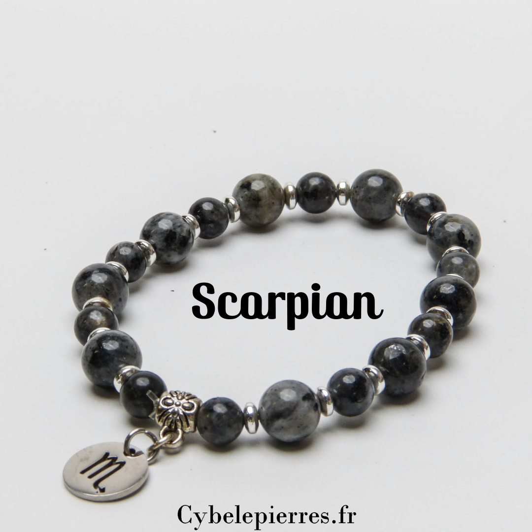 Bracelet Scorpion - Larvikite (8mm) | Force et Transformation