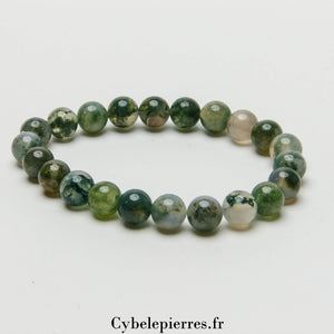 Bracelet Agate Mousse (8mm) - Sérénité et Prospérité (18cm)