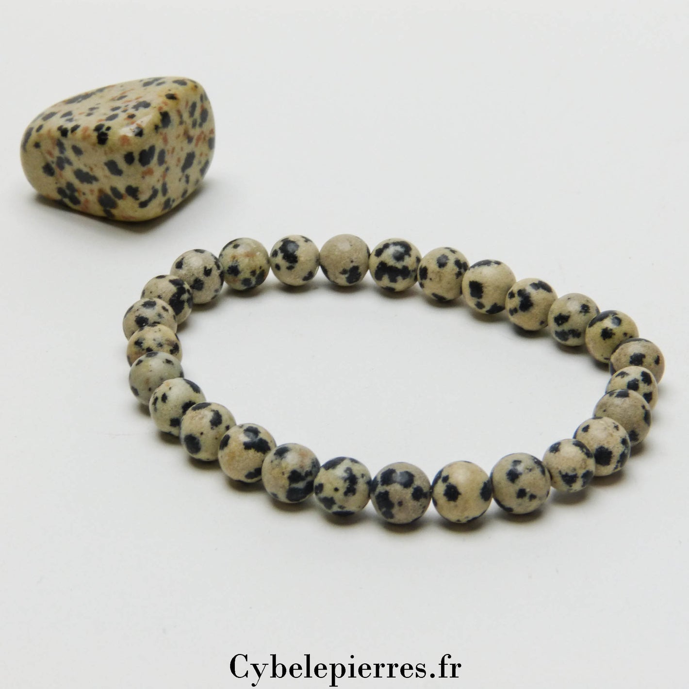 Bracelet Jaspe Dalmatien (6mm) – 17 cm | Protection et Stabilité