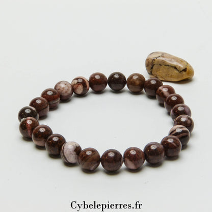 Bracelet Jaspe Zèbre (8mm) - 18cm | Stabilité et Compréhension