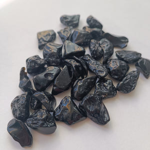 Tectite Roulée | Transformation, Volonté et Nouveau Départ