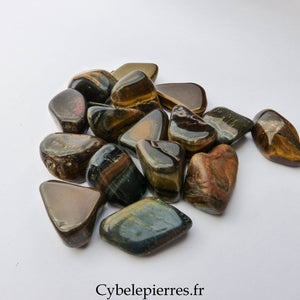 Œil de Tigre Roulée – Afrique du Sud | Protection et Confiance