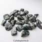 Gabbro Roulée – USA | Énergie, Nouveau Départ et Clarté