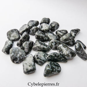 Gabbro Roulée – USA | Énergie, Nouveau Départ et Clarté