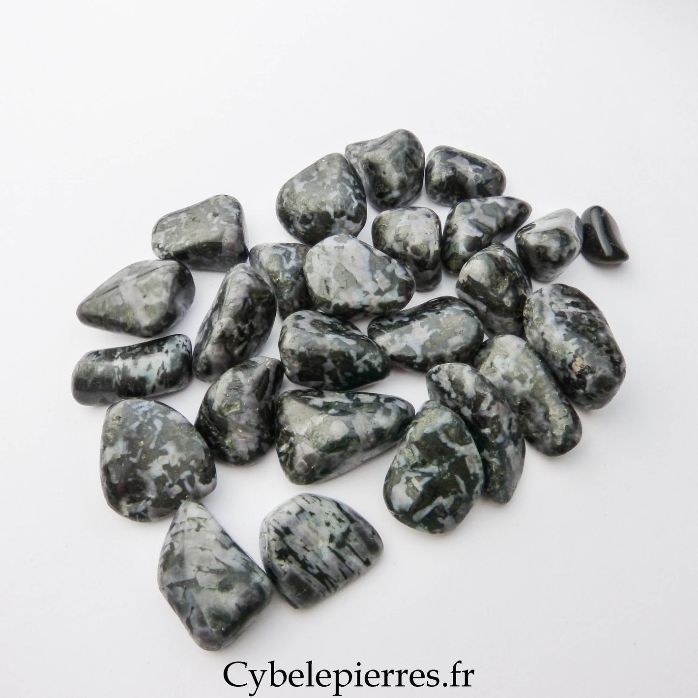 Gabbro Roulée – USA | Énergie, Nouveau Départ et Clarté