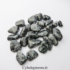 Gabbro Roulée – USA | Énergie, Nouveau Départ et Clarté