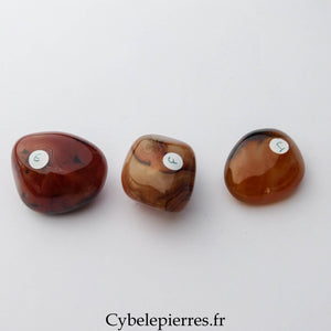 Sardonyx roulée – Madagascar | Stabilité et Force