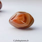 Sardonyx roulée – Madagascar | Stabilité et Force
