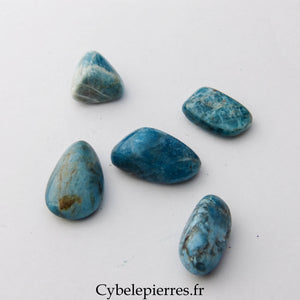 Apatite bleue pierre roulée – Clarté et Expression