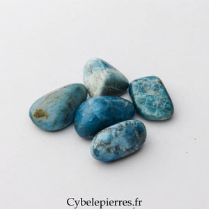Apatite bleue pierre roulée – Clarté et Expression