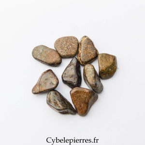 Bronzite roulée – USA | Confiance et Stabilité