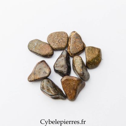 Bronzite roulée – USA | Confiance et Stabilité