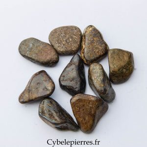 Bronzite roulée – USA | Confiance et Stabilité