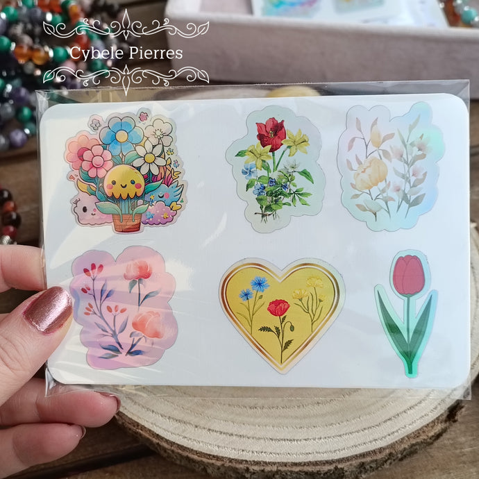 Pack de 12 Stickers 