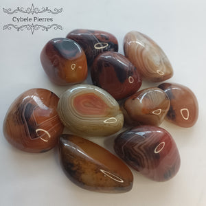 Sardonyx roulée - Madagascar