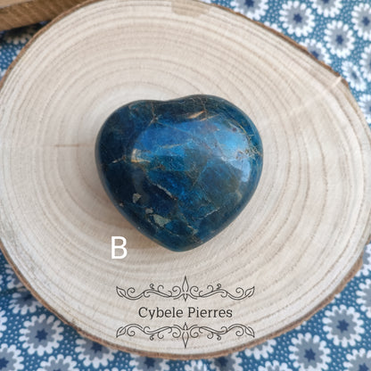 B- Coeur d'Apatite bleue XL - Madagascar