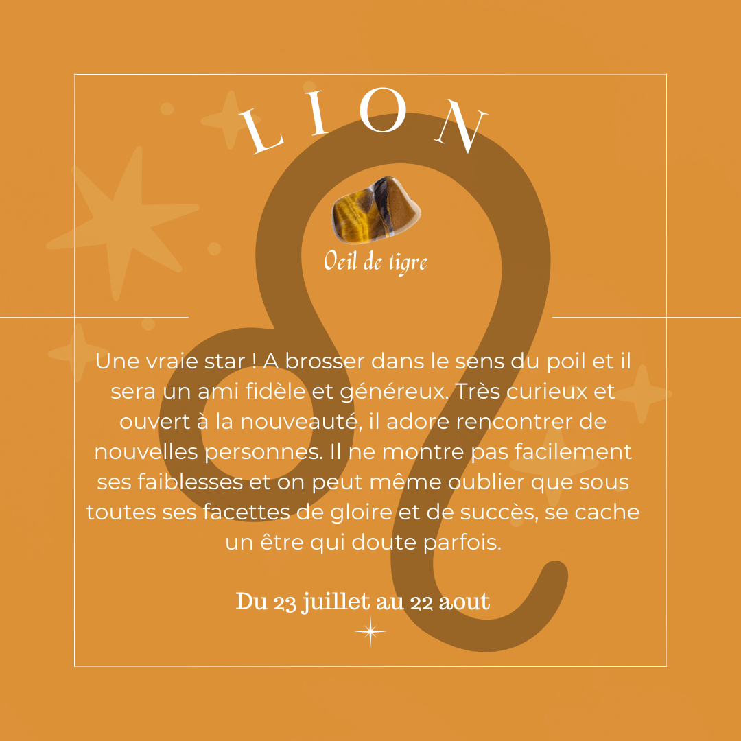 2 - Bracelet Lion - Œil de Tigre, Pierre de Soleil et Grenat (6 et 8mm) | Confiance et Vitalité - Cybele Pierres
