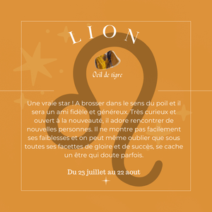2 - Bracelet Lion - Œil de Tigre, Pierre de Soleil et Grenat (6 et 8mm) | Confiance et Vitalité - Cybele Pierres