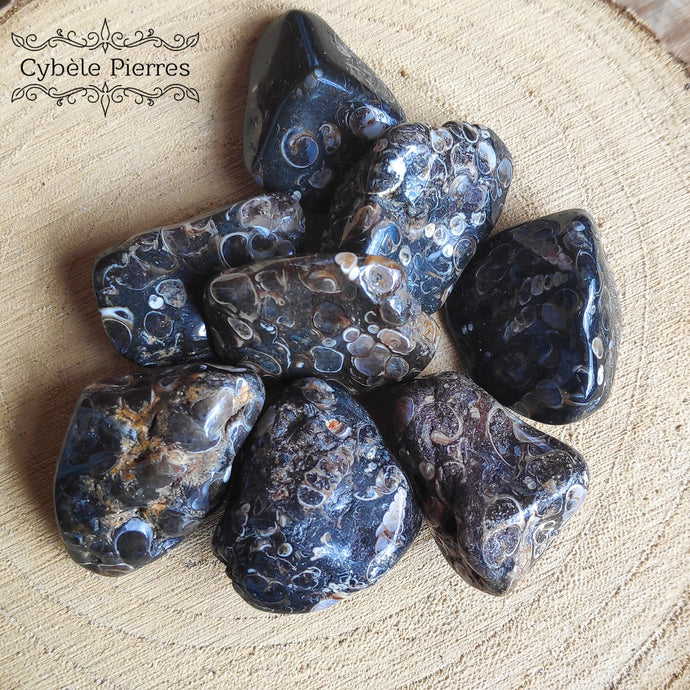 Agate Turitelle roulée - USA