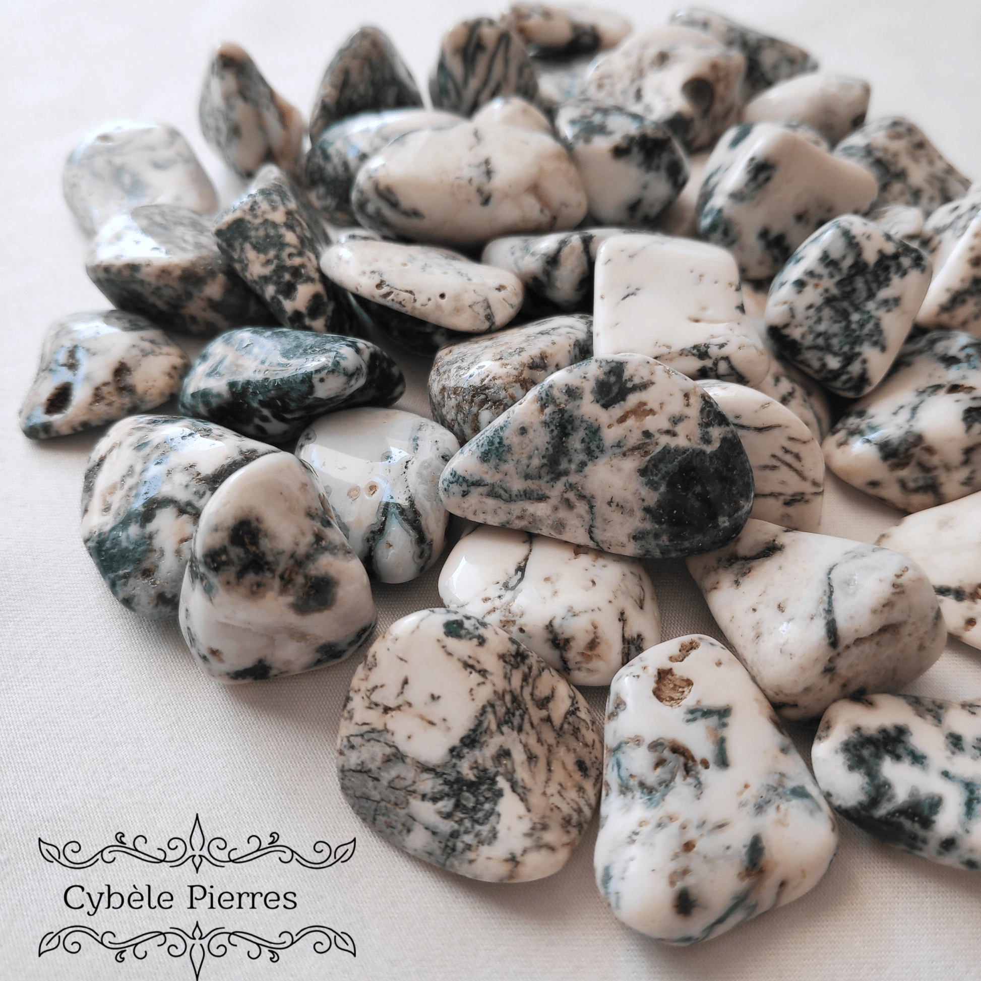 Agate Arbre (Dendritique) - Pierre Roulée | Croissance et Sérénité - Cybele Pierres