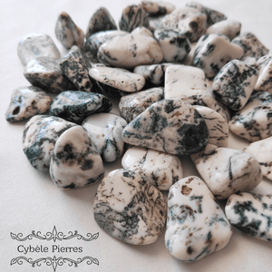 Agate Arbre (Dendritique) - Pierre Roulée | Croissance et Sérénité - Cybele Pierres