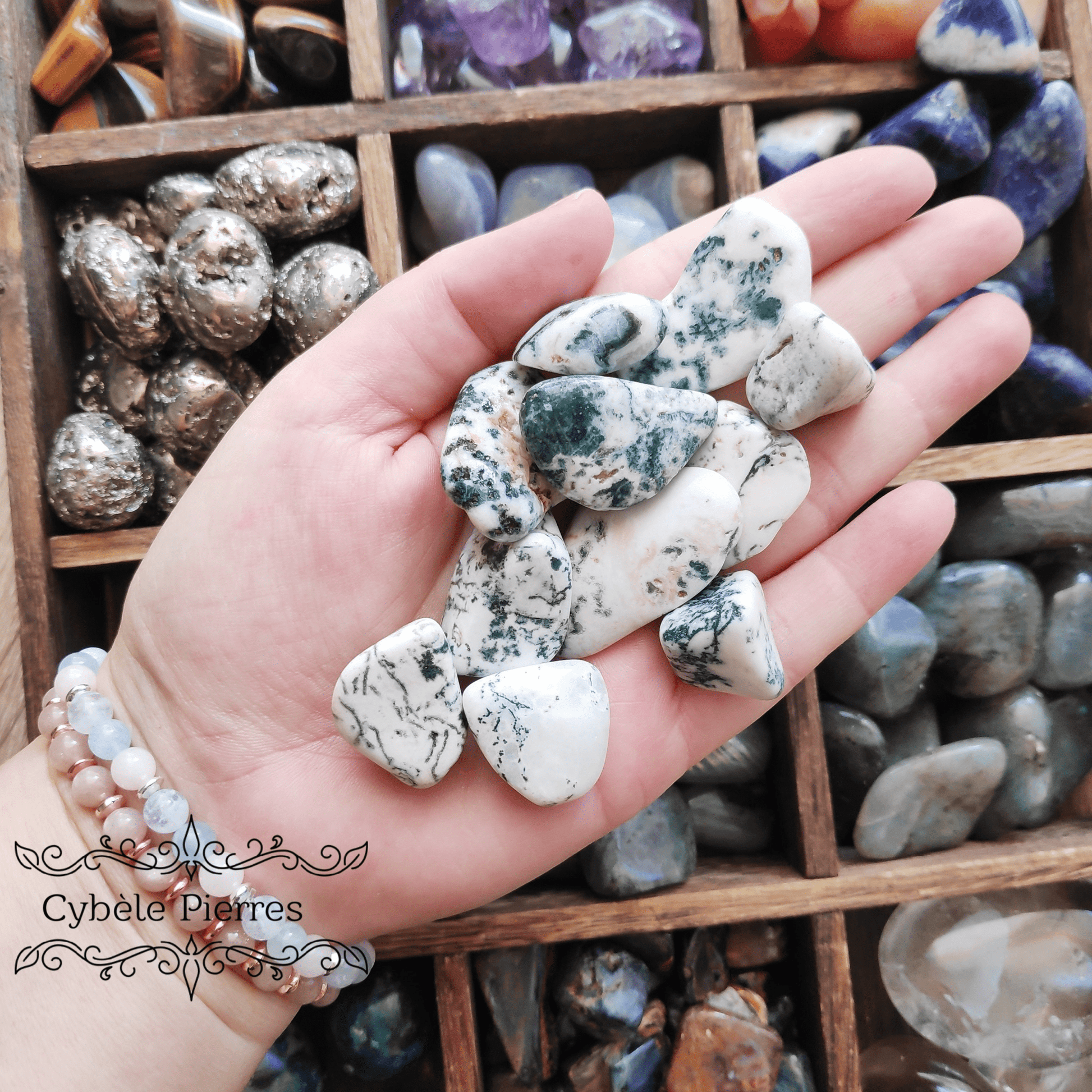 Agate Arbre (Dendritique) - Pierre Roulée | Croissance et Sérénité - Cybele Pierres