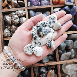 Agate Arbre (Dendritique) - Pierre Roulée | Croissance et Sérénité - Cybele Pierres