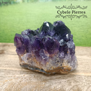 Collection - Druse Améthyste Extra - Uruguay (524g) | Harmonie et Protection - Cybele Pierres