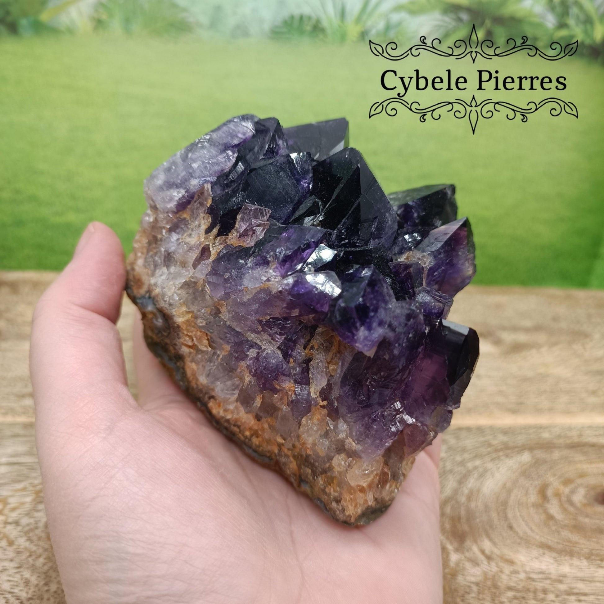 Collection - Druse Améthyste Extra - Uruguay (524g) | Harmonie et Protection - Cybele Pierres