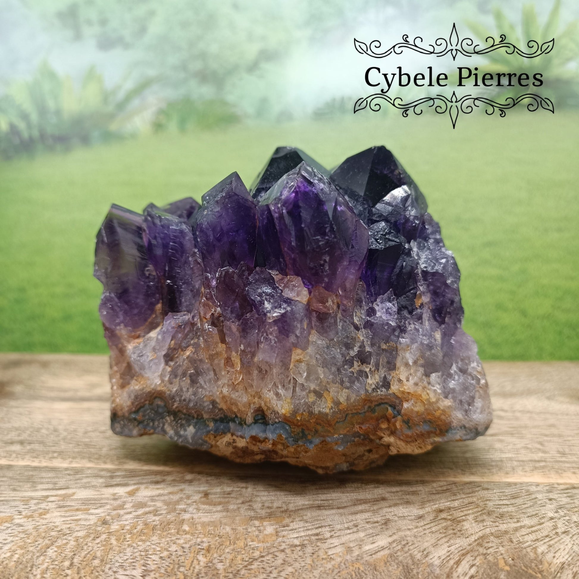 Collection - Druse Améthyste Extra - Uruguay (524g) | Harmonie et Protection - Cybele Pierres