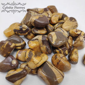 Jaspe Zèbre – Équilibre émotionnel et Introspection